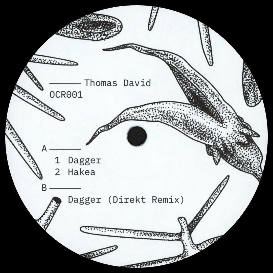 Thomas David - Dagger / Hakea