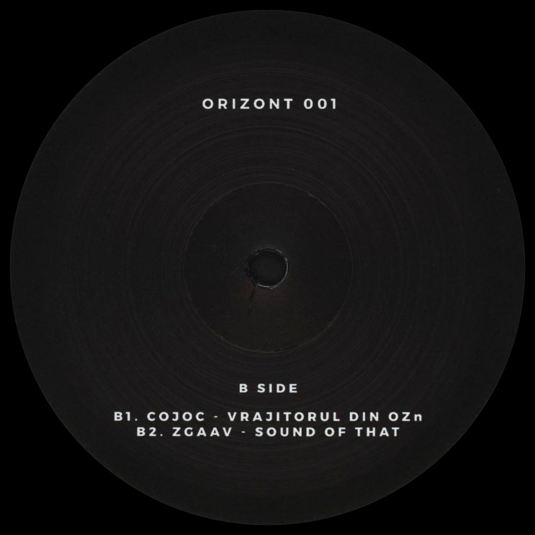 Various - Orizont 01