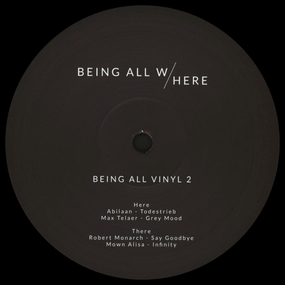 Various - Being All Vinyl 2