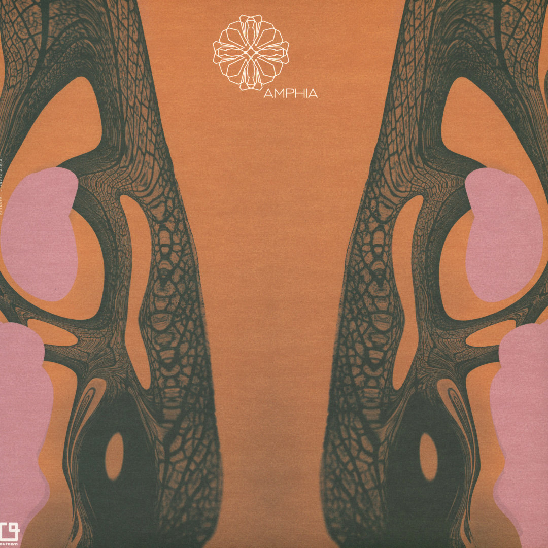 Kamran Sadeghi - Ritual Signal LP
