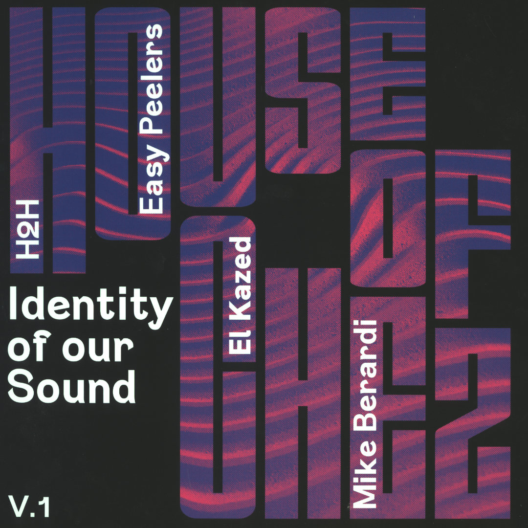 Various - Identity Of Our Sound V.1